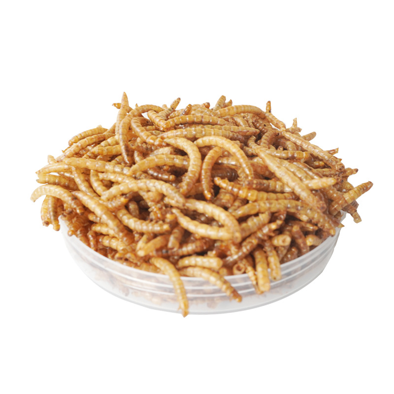 Camilan Protein Tinggi Makanan - Food Snacks With High Protein ulasan dan harga